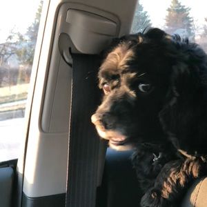 Meet your Posher, Erin